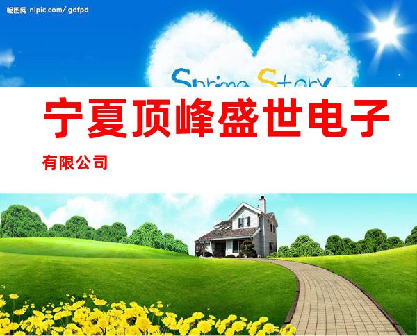 宁夏顶峰盛世电子有限公司